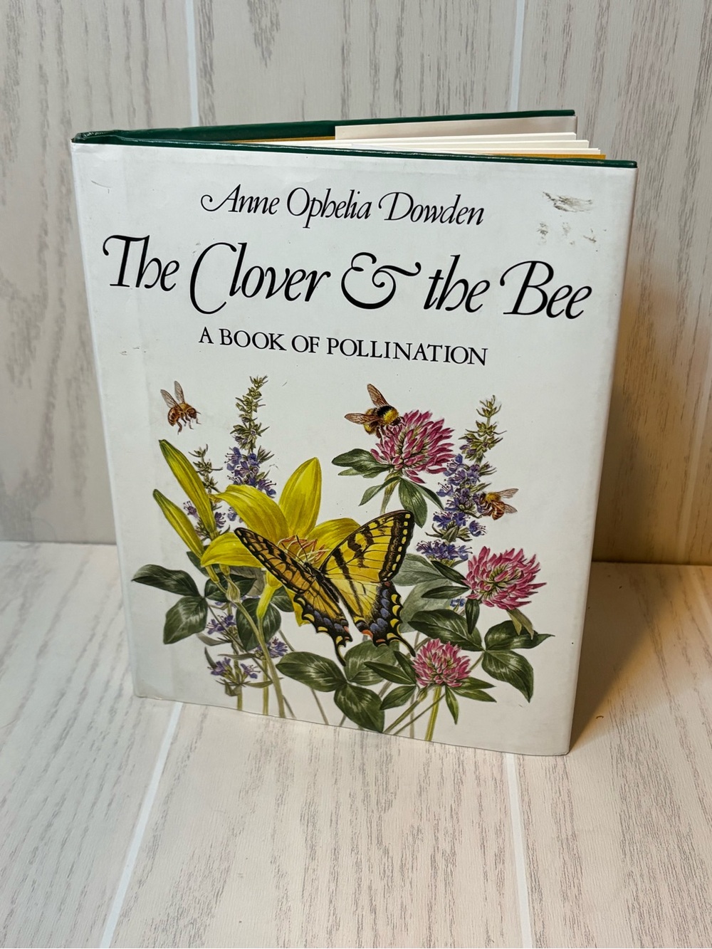 Cottage Core Book The Clover & the Bee A Book of Pollination Vintage Hardcover